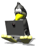 Penguin typing assignment.